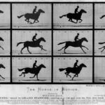 Muybridge's The Horse in Motion, 1878